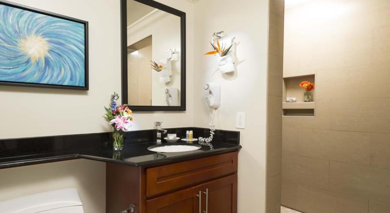 스위트, Divi Village Golf and Beach Resort