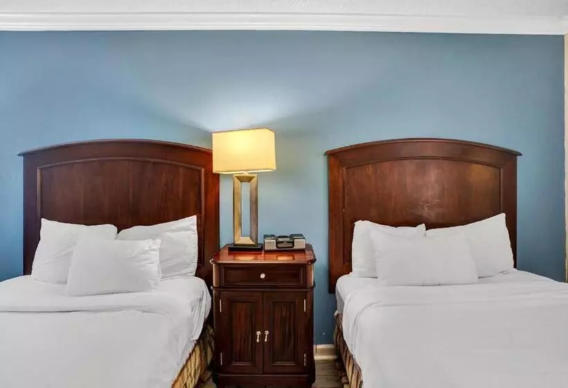 اتاق کلاسیک, Fort Lauderdale Grand