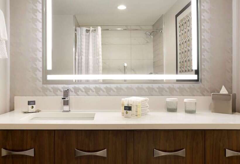 스탠다드 룸 더블 침대, American Hotel Atlanta Downtown, Tapestry Collection Hilton