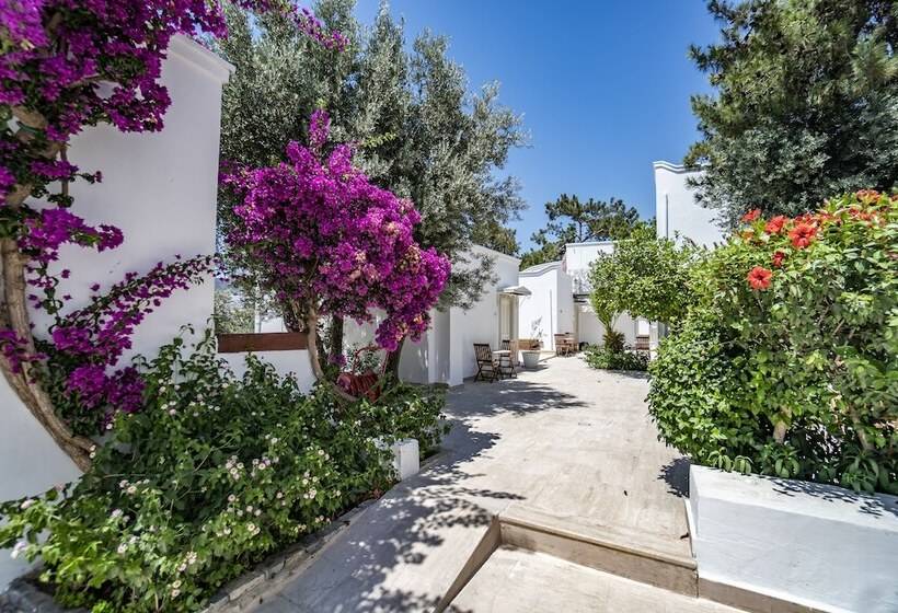 غرفة سوبيريور, Manzara Boutique Hotel   Adults Only