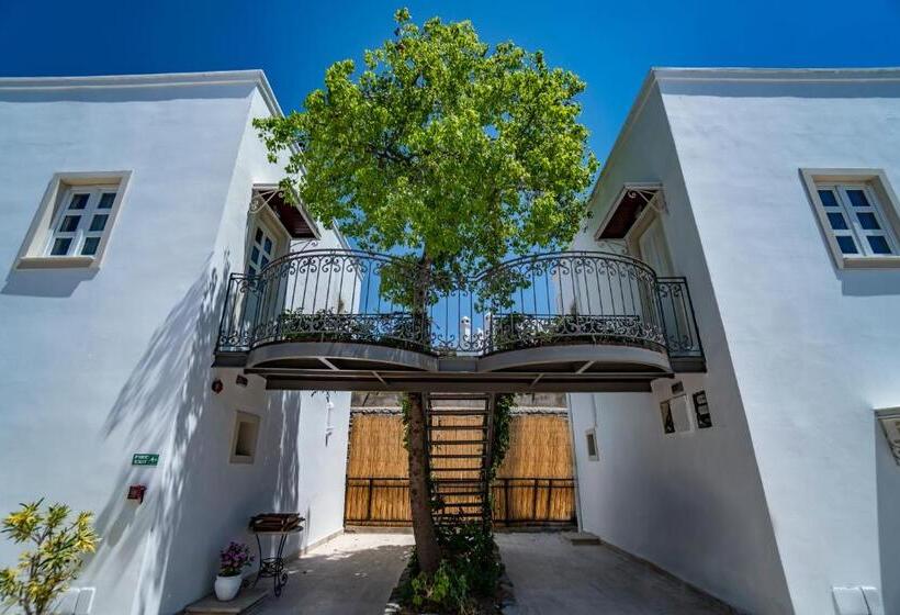 غرفة ديلوكس, Manzara Boutique Hotel   Adults Only