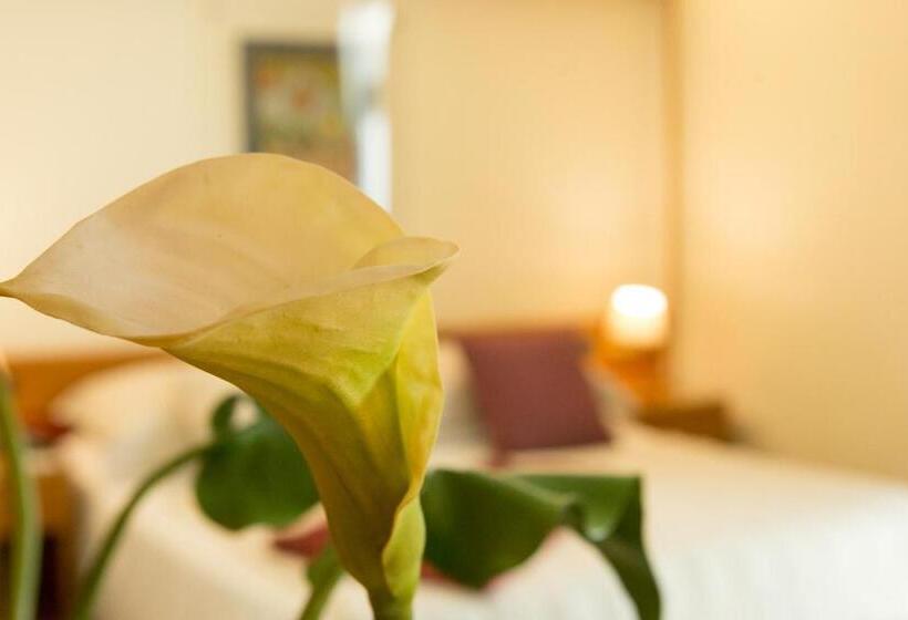 جناح جونيور سرير كينج, Best Western Hotel Dei Cavalieri