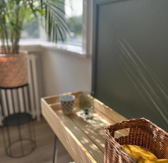 Standart Tek Kişilik Oda, Flóki By Guesthouse Reykjavík