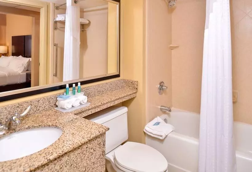 اتاق استاندارد, Holiday Inn Express & Suites Buffalo Downtown, An Ihg