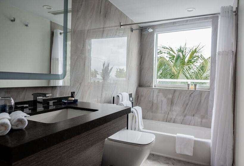 חדר פנטהאוז, The Sagamore Hotel South Beach