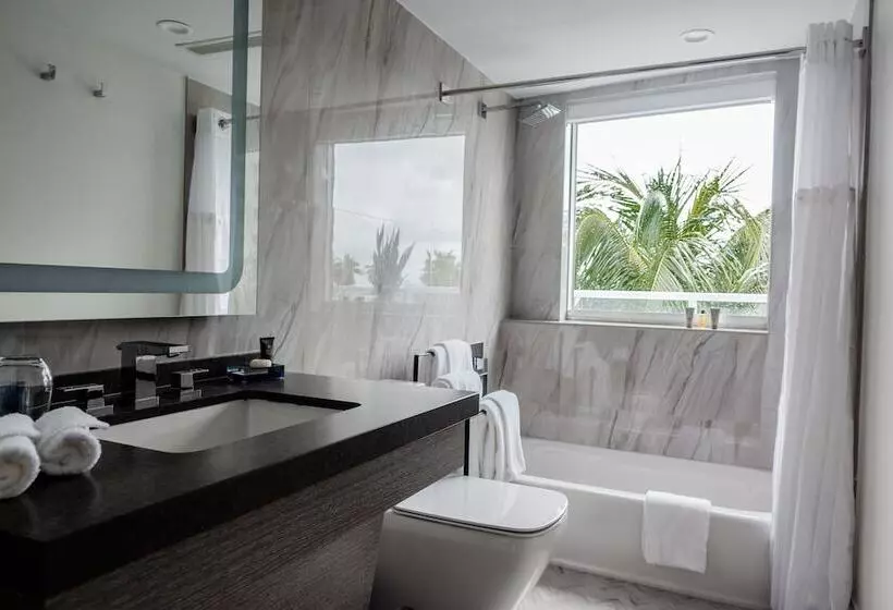 اتاق پنت هاوس, The Sagamore Hotel South Beach