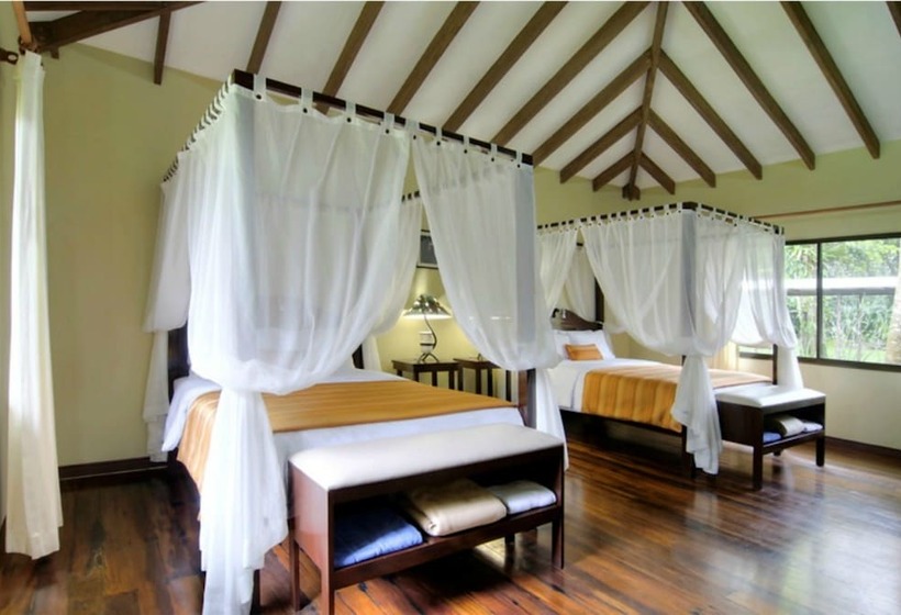 غرفة ديلوكس, Manatus