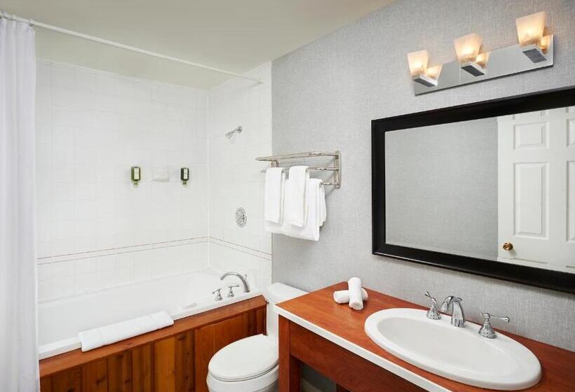 استوديو قياسي مطل على البحيرة, Sir Sam S Inn & Waterspa   Adults Only