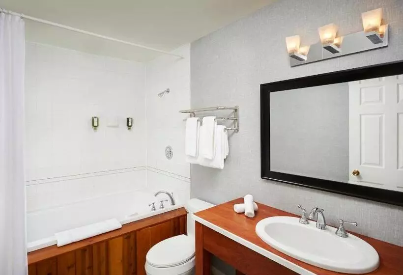 Standard studio with lake view, Sir Sam S Inn & Waterspa Adults Only