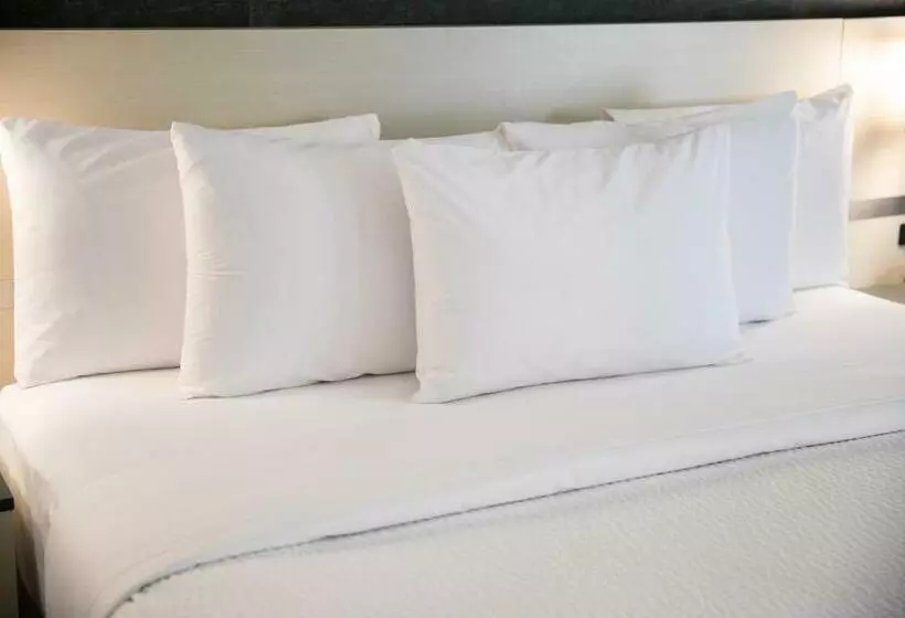 キングサイズベッドのスタンダードルーム, Days Inn By Wyndham Vancouver Airport