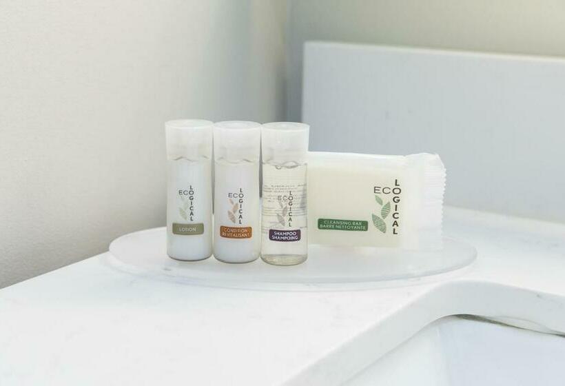 스탠다드 룸 킹사이즈 침대, Days Inn By Wyndham Vancouver Airport