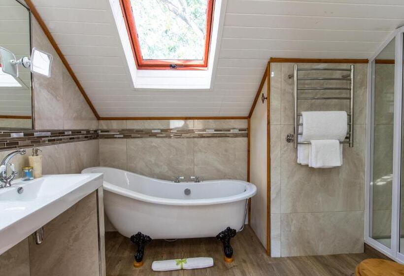 Номер Премиум, Evergreen Manor And Spa