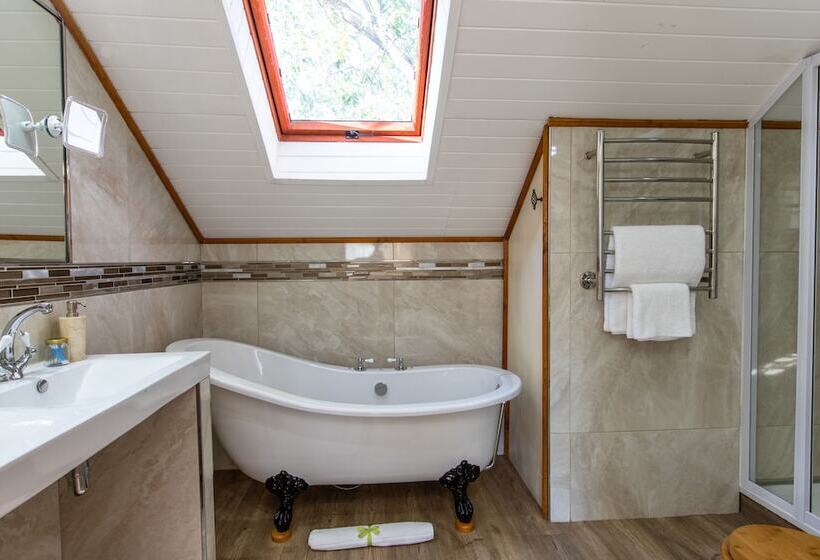 Номер Премиум, Evergreen Manor And Spa