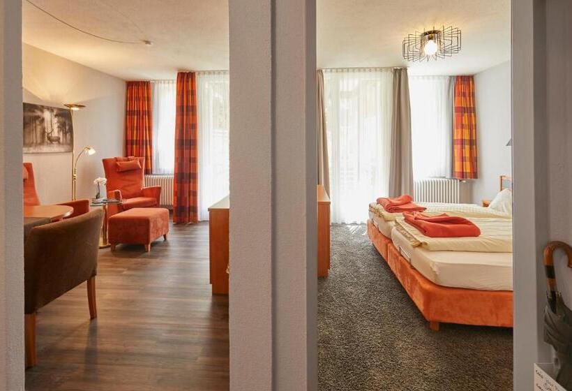 Апартаменты Комфорт 1 Спальня, Ferien Residenz Bergfried
