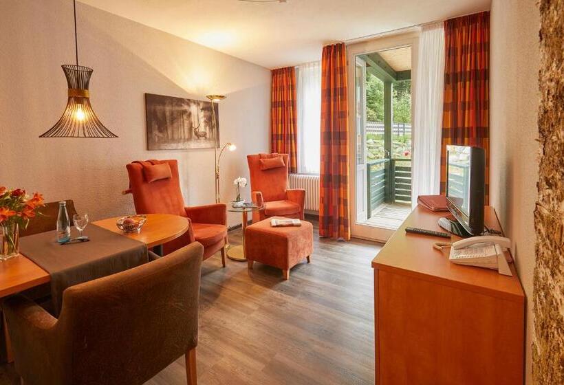 Апартаменты Комфорт 1 Спальня, Ferien Residenz Bergfried