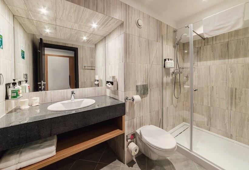 اتاق استاندارد, Holiday Inn Bucharest   Times, An Ihg