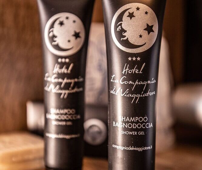 اتاق استاندارد, La Compagnia Del Viaggiatore