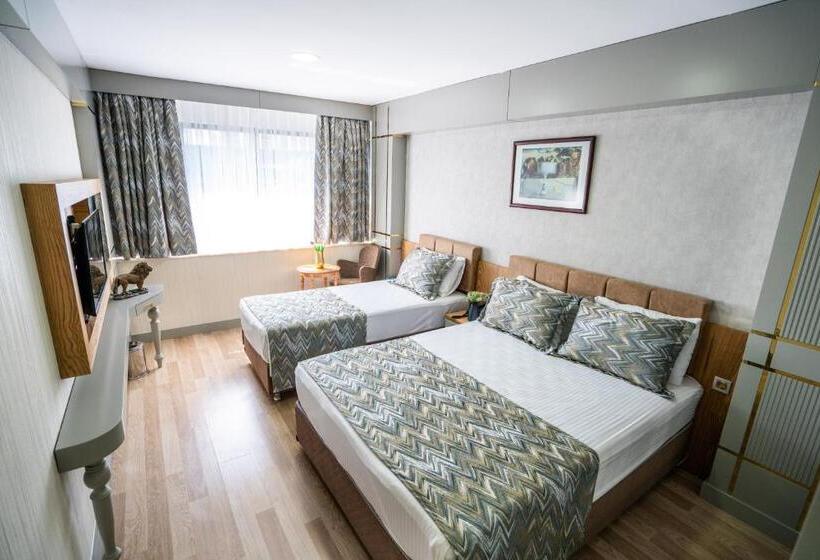 اتاق استاندارد, Lion City Hotel Kizilay
