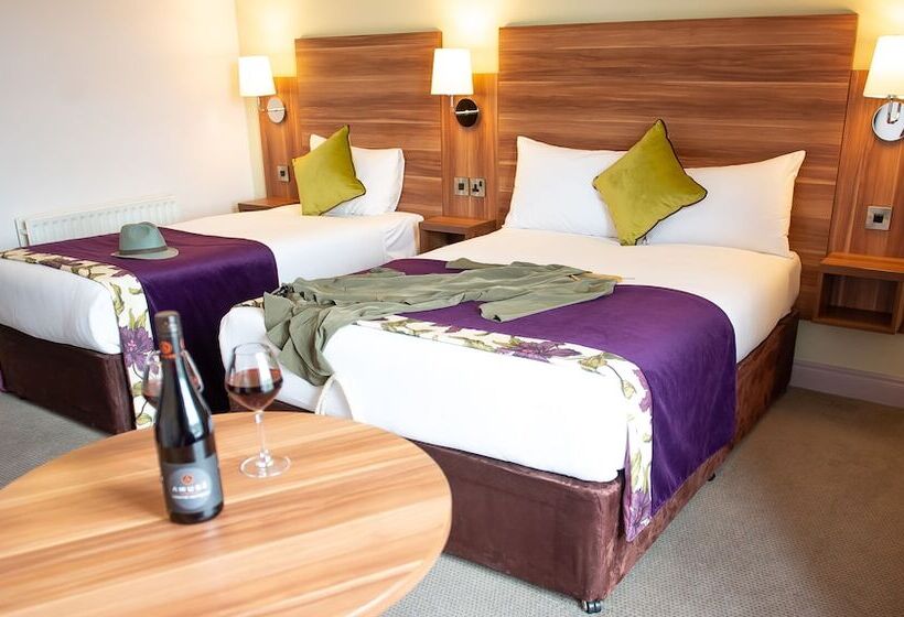 اتاق استاندارد, Maldron Hotel & Leisure Centre, Oranmore Galway