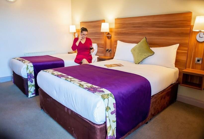 اتاق استاندارد, Maldron Hotel & Leisure Centre, Oranmore Galway