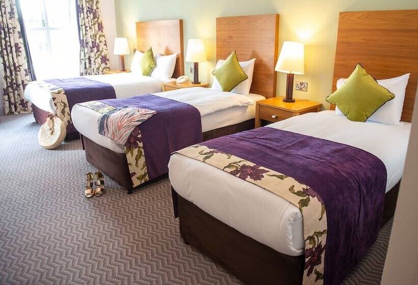 Номер Стандарт Трехместный, Maldron Hotel & Leisure Centre, Oranmore Galway