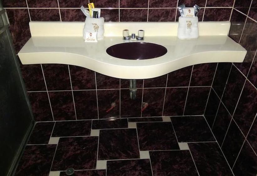 스탠다드 룸, Recreo