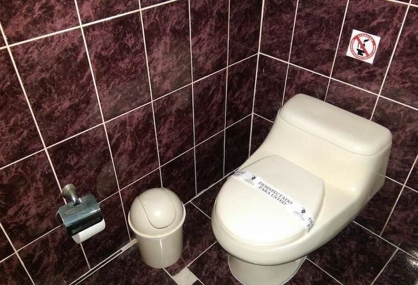 스탠다드 트리플 룸, Recreo