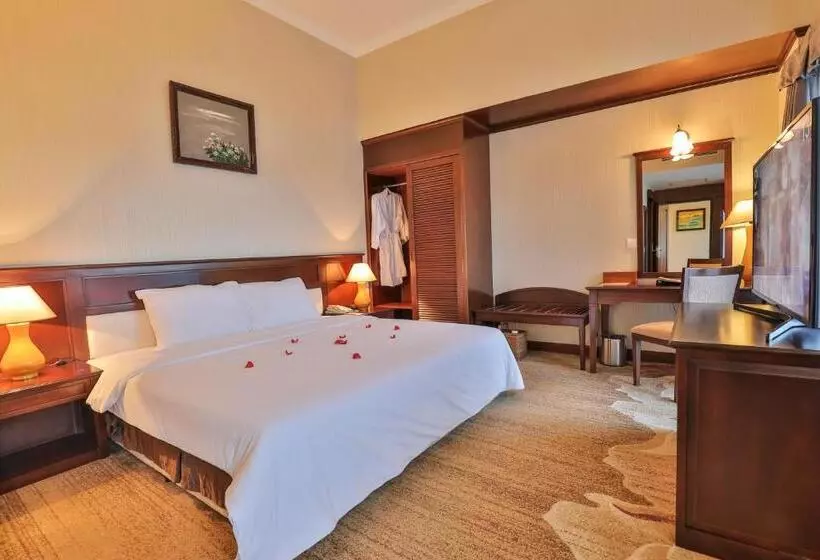 スイート, Saigon Quy Nhon