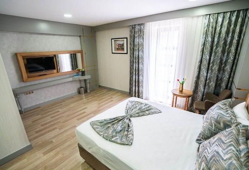 اتاق استاندارد, Lion City Hotel Kizilay