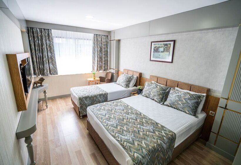 اتاق استاندارد, Lion City Hotel Kizilay