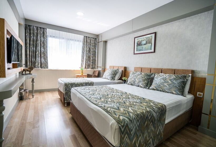 اتاق استاندارد, Lion City Hotel Kizilay