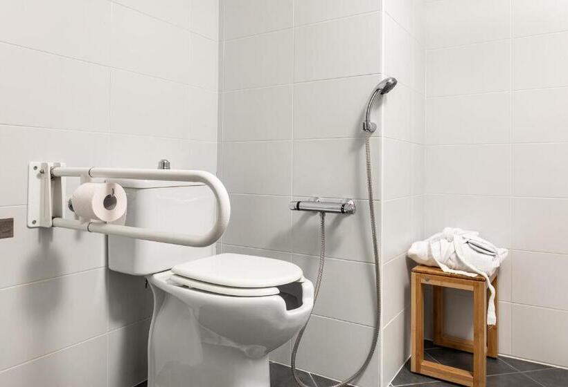 غرفة قياسية لذوى الاحتياجات الخاصة, Anusca Palace