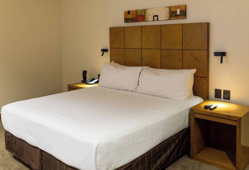 اتاق استاندارد, Crowne Plaza Asunción, An Ihg