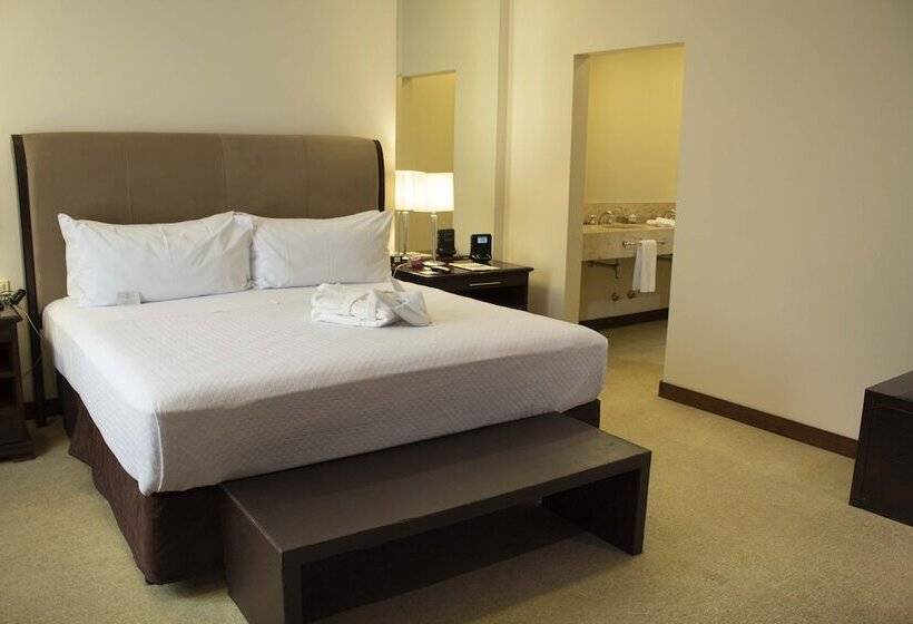 اتاق استاندارد, Crowne Plaza Asunción, An Ihg