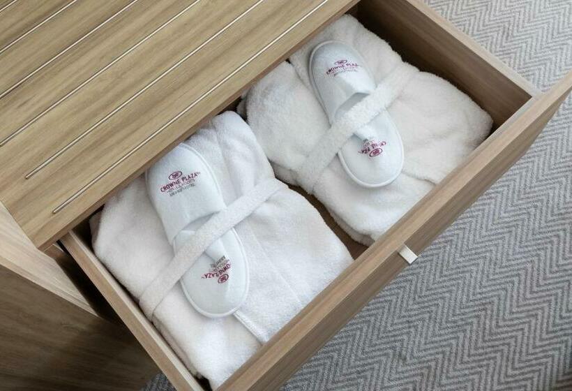 سوئیت با چشمانداز رودخانه, Crowne Plaza Lyon   Cité Internationale