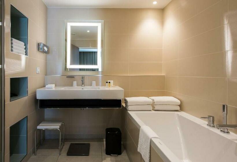 سوئیت با چشمانداز رودخانه, Crowne Plaza Lyon   Cité Internationale