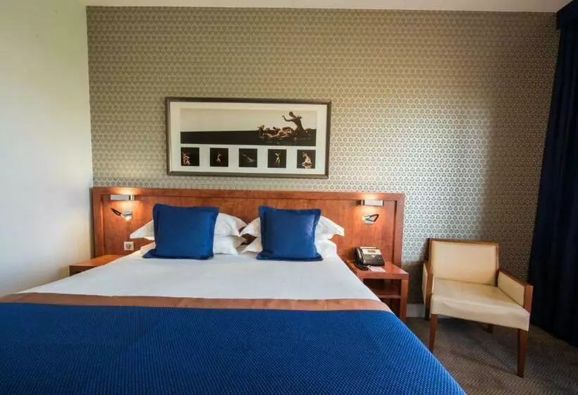 اتاق سوپریور با چشم‌انداز رودخانه, Crowne Plaza Lyon   Cité Internationale