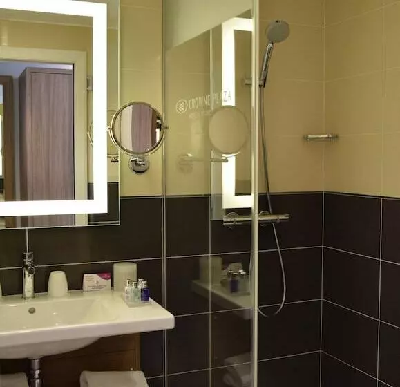 اتاق استاندارد با تخت دوبل و چشم‌انداز پارک, Crowne Plaza Lyon   Cité Internationale