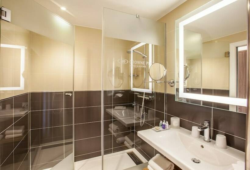 스탠다드 룸 더블 침대 공원 전망, Crowne Plaza Lyon   Cité Internationale