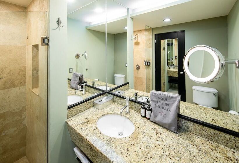 带2个双人床的标准工作室, Crowne Plaza Villahermosa, An Ihg