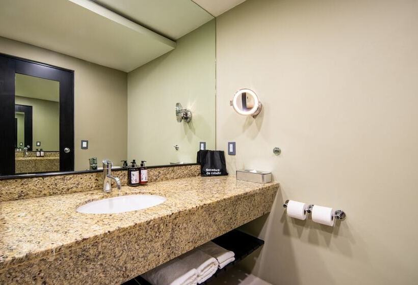 اتاق استاندارد با 2 تخت دوبل, Crowne Plaza Villahermosa, An Ihg