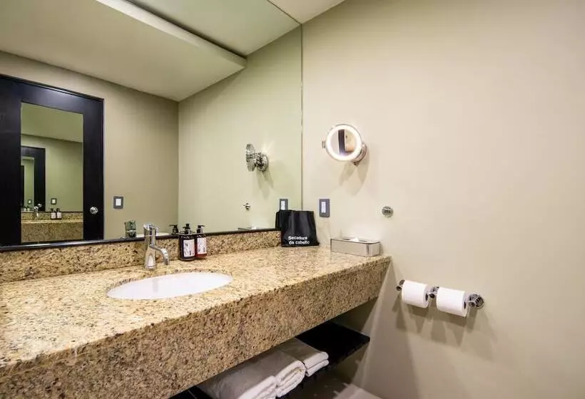 اتاق استاندارد با 2 تخت دوبل, Crowne Plaza Villahermosa, An Ihg