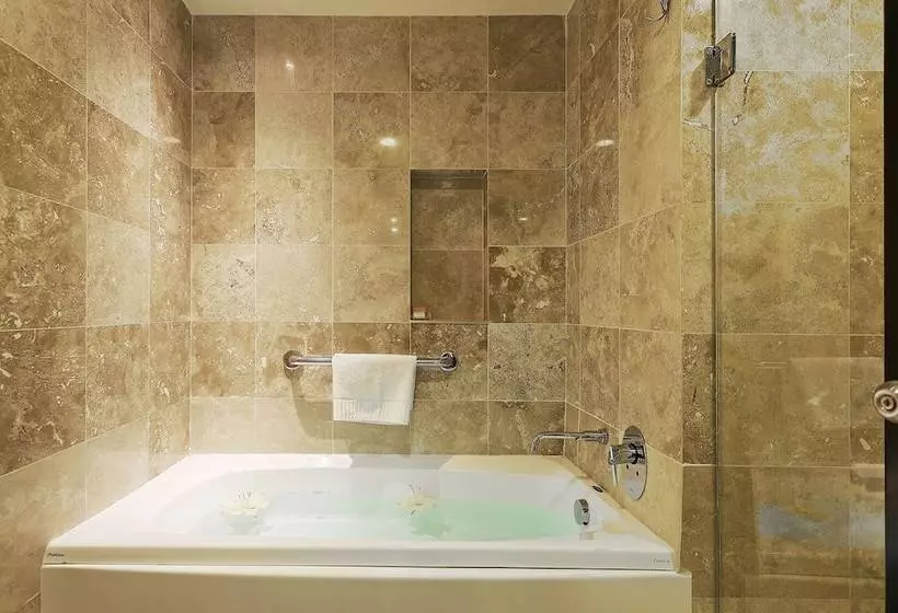سوییت جونیور, Crowne Plaza Villahermosa, An Ihg
