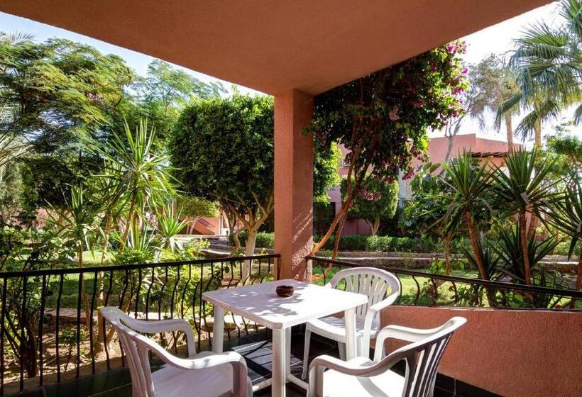 Семейный Номер, Eagles Paradise Abu Soma Resort