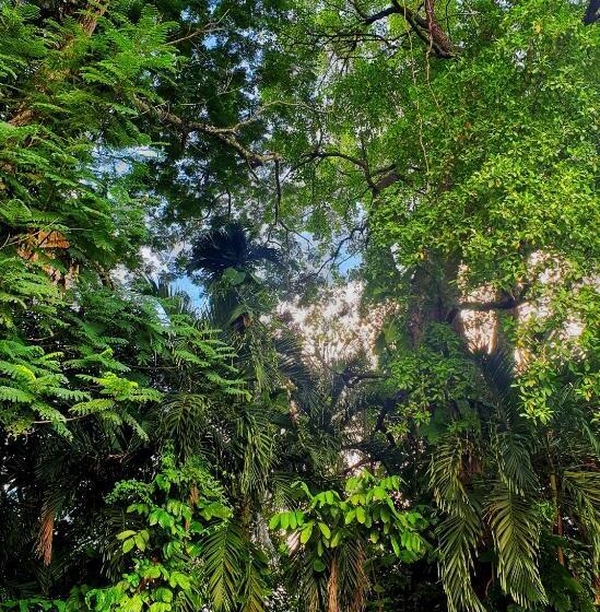 جناح جونيور, Sabah Hotel Sandakan