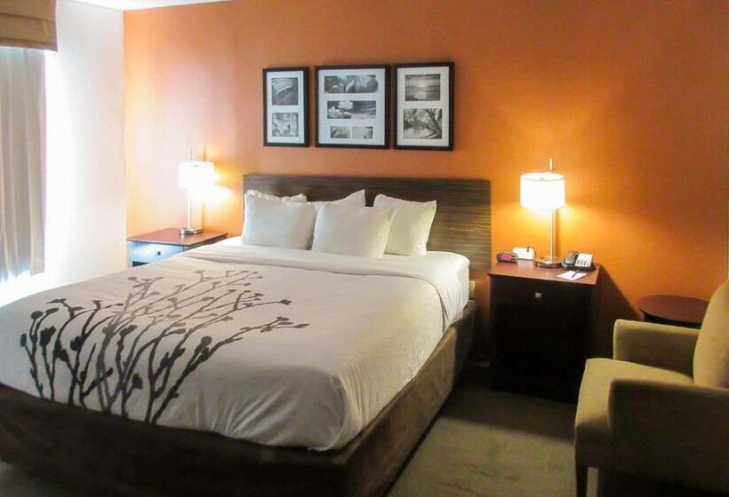 Стандартный Номер Кровать Кинг, Sleep Inn & Suites Ft. Lauderdale International Airport