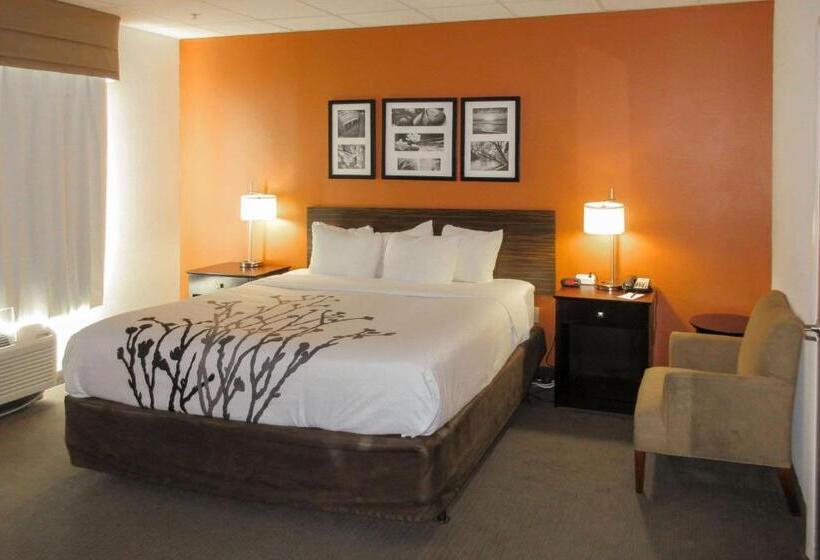 스탠다드 룸 킹사이즈 침대, Sleep Inn & Suites Ft. Lauderdale International Airport