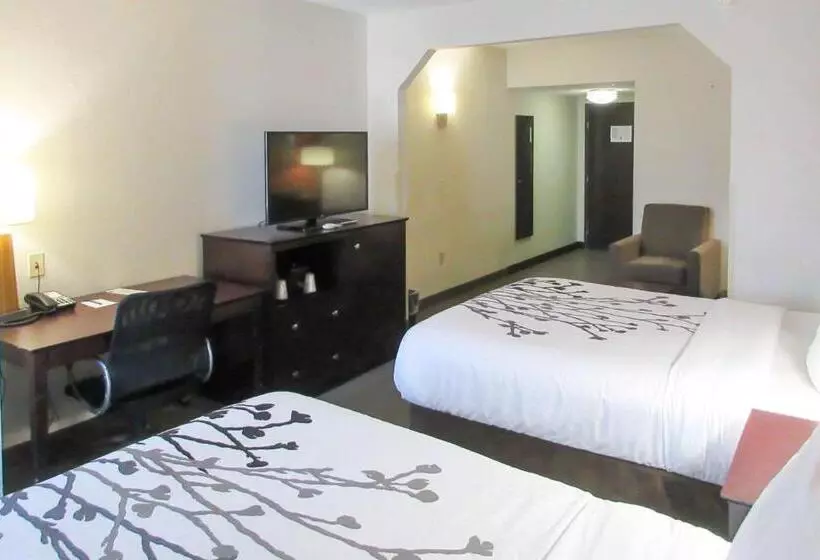 スイート, Sleep Inn & Suites Ft. Lauderdale International Airport