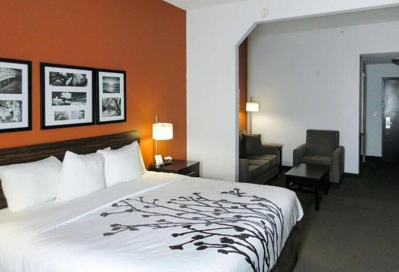Номер Стандарт Кровать Кинг Адаптированный для Инвалидов, Sleep Inn & Suites Ft. Lauderdale International Airport