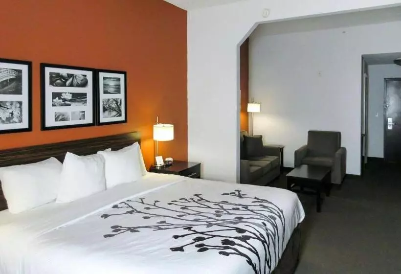 身障者適用キングサイズベッドルーム, Sleep Inn & Suites Ft. Lauderdale International Airport
